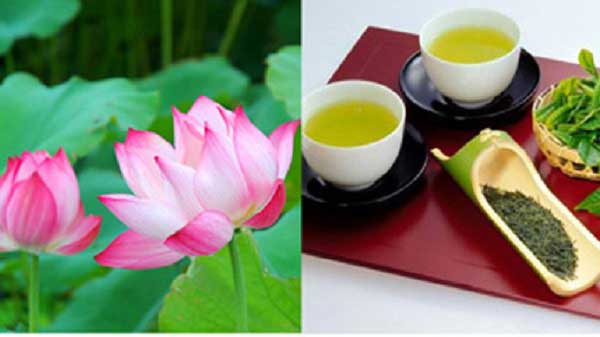 Mẹo giảm cân bằng trà xanh và lá sen 